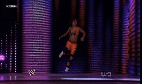 Mickie-James-WWE